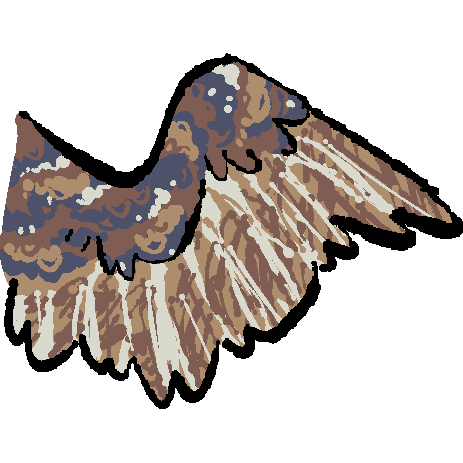 a white, grey, and brown bird wing. the feathers at the very top of the wing are mottled grey, brown, and a little bit of white. the feathers closer to the bottom are striped with white and two different shades of brown
